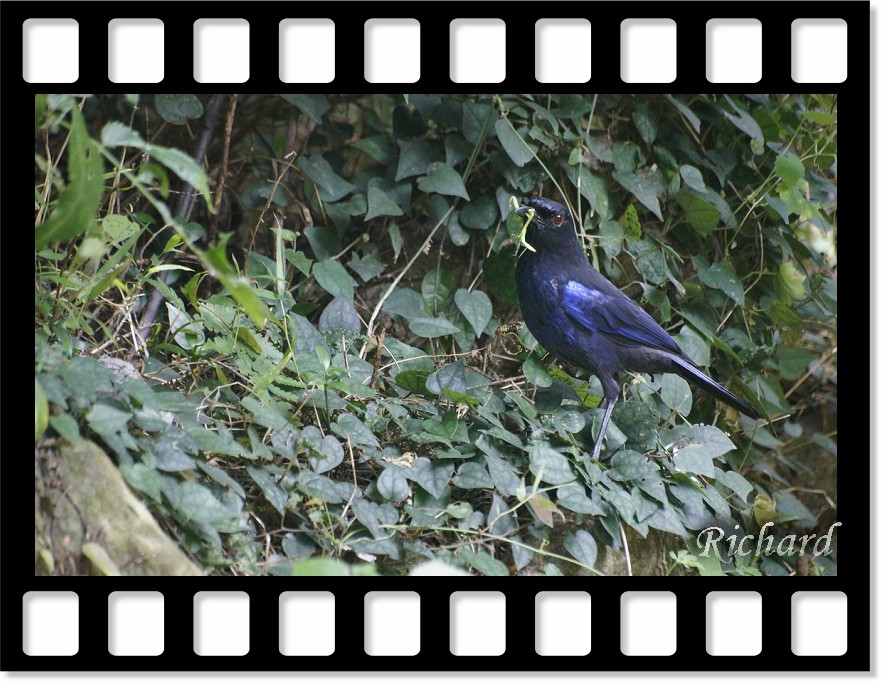 http://i.dcview.tw/gallery/201207/d9230c979e5a88e4fc45b4bad04bc1ac.jpg