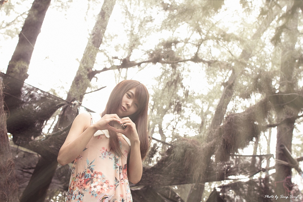http://i.dcview.tw/gallery/201207/dd39ea15de8cb87c48352c634660cf0e.jpg