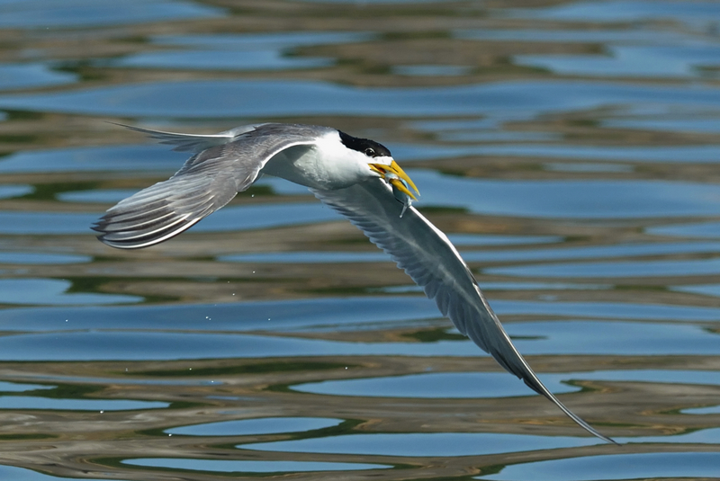 http://i.dcview.tw/gallery/201207/de57a6152b7448fb225f4517f15ac3e5.jpg