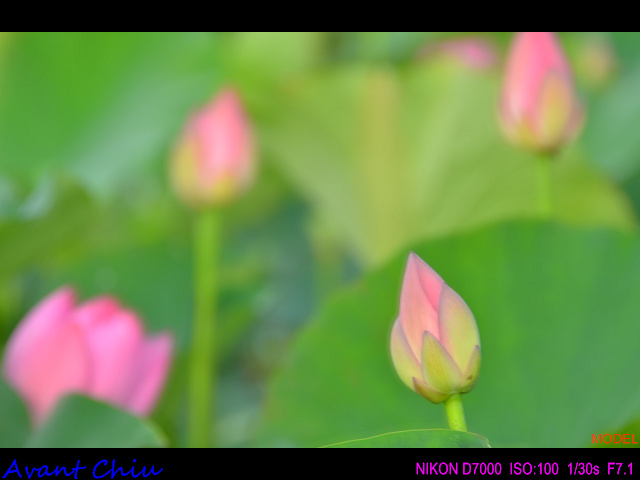 http://i.dcview.tw/gallery/201207/dfb0c0544b6ca8e69fd9c198af46a102.jpg