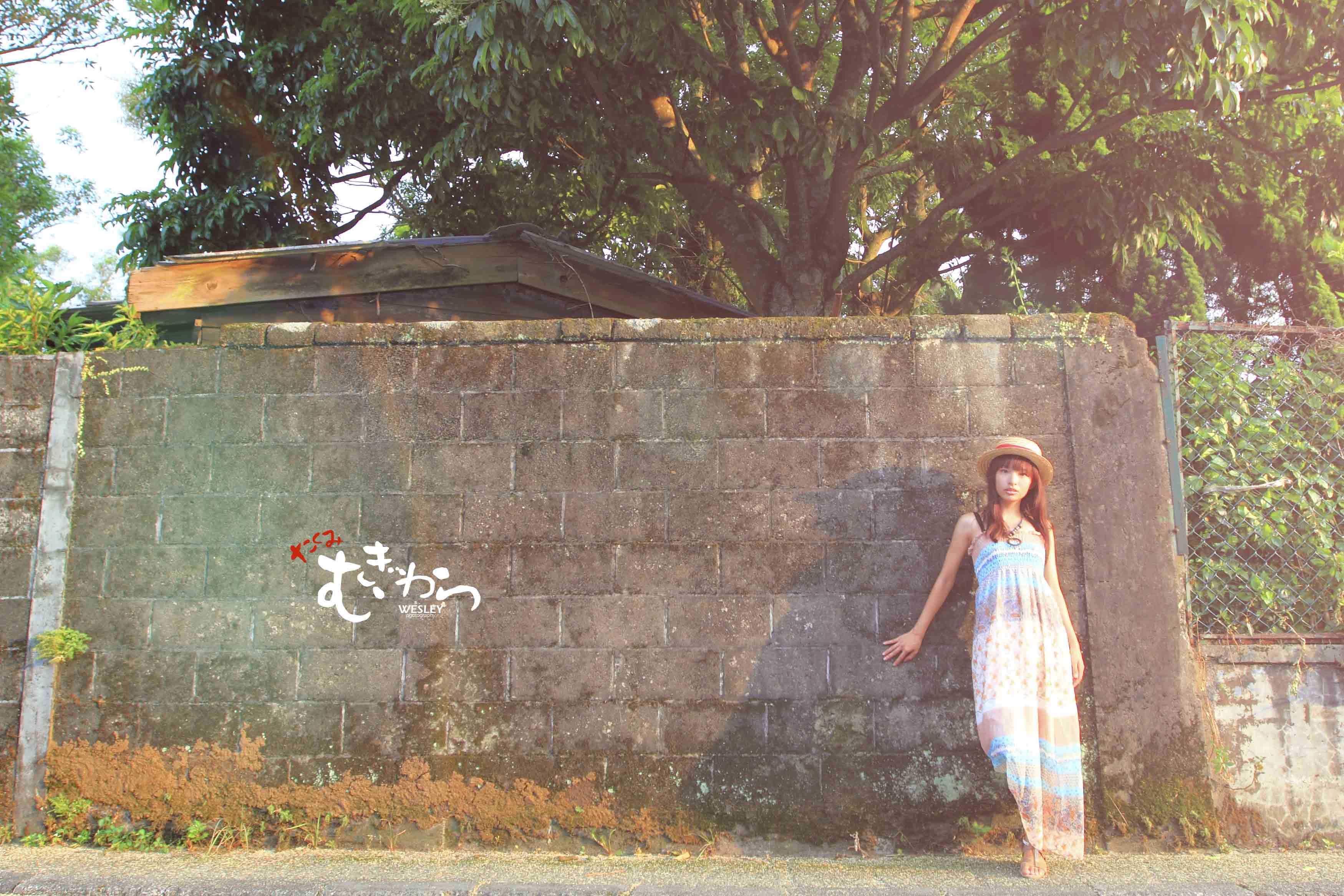 http://i.dcview.tw/gallery/201207/e4eca973cec3a114fe1f0cd4db4869bb.jpg
