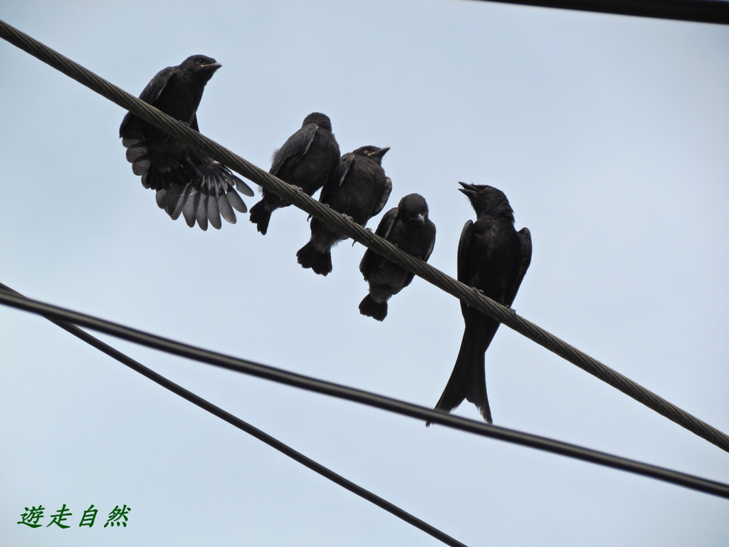 http://i.dcview.tw/gallery/201207/e648961c615600f1b7047092968c31dd.jpg
