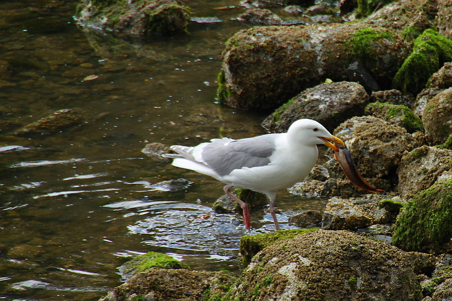 http://i.dcview.tw/gallery/201207/ed361df996adf303d0ba0f64e3dcd5c8.jpg