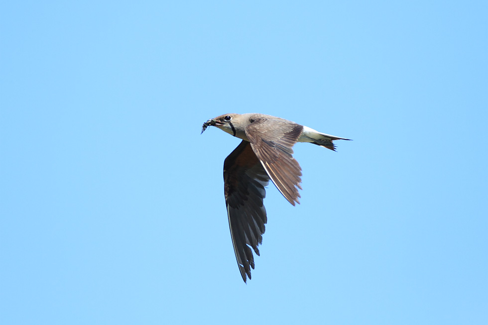 http://i.dcview.tw/gallery/201207/f132eac104257320312d27f018be5b2e.jpg