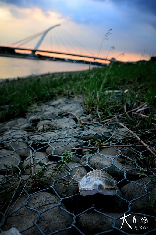 http://i.dcview.tw/gallery/201207/f2ff10bba7b78a2edba6c163678b9b0e.jpg