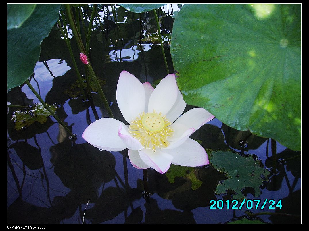 http://i.dcview.tw/gallery/201207/f6b3f57deeebf681ba3995537fd01a18.jpg