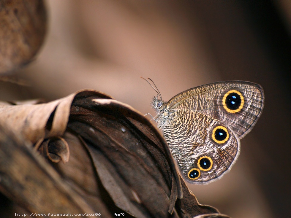http://i.dcview.tw/gallery/201207/f86f1959e5f2cd5782b34aef8ad580a7.jpg