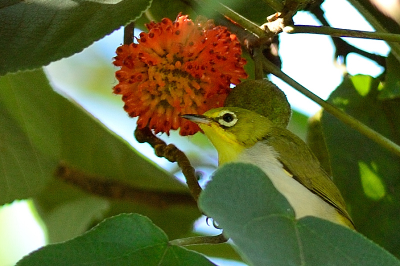 http://i.dcview.tw/gallery/201207/fd5e8431bd81e474a1e4eaeb3f192676.jpg