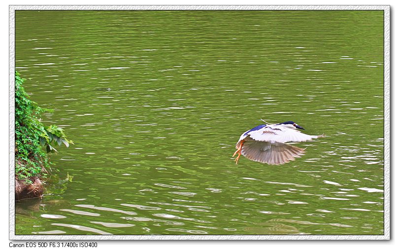 http://i.dcview.tw/gallery/201207/ff48fd8b7b15799fb71c154393b21b03.jpg