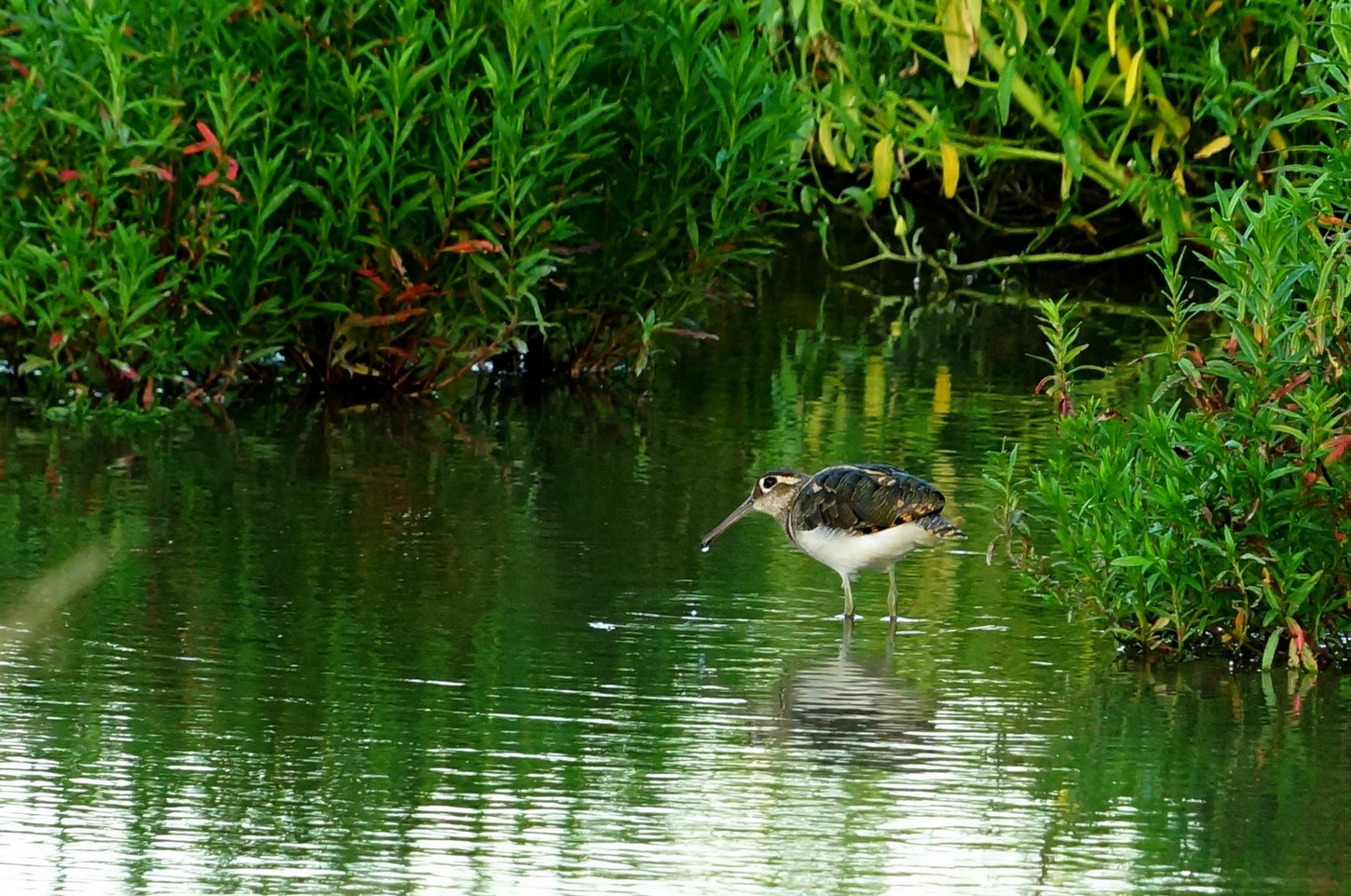 http://i.dcview.tw/gallery/201208/043609e2828ce8b90a64ceeed2eecb12.jpg