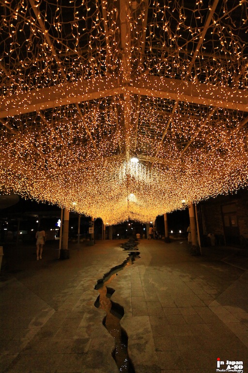 http://i.dcview.tw/gallery/201208/08f4a79f86557c178a4e73eb2b541268.jpg