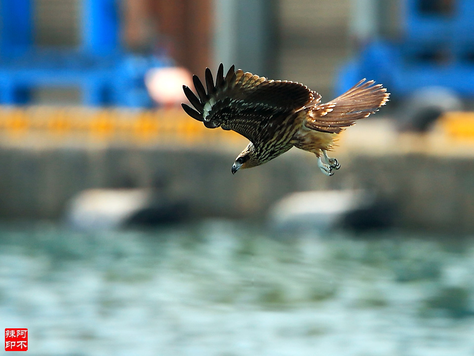 http://i.dcview.tw/gallery/201208/1e86f328423aa858012d02aeb8420c53.jpg