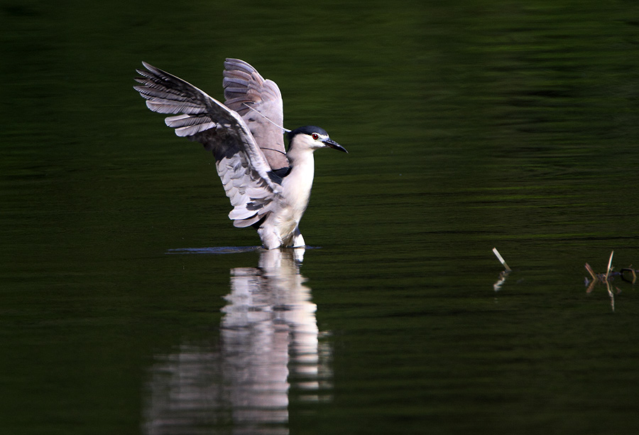 http://i.dcview.tw/gallery/201208/23e530f5d72ac20f6b80abe391f2755d.jpg