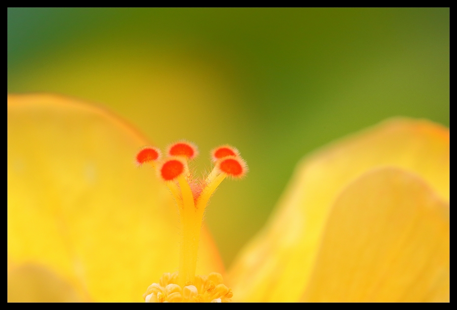 http://i.dcview.tw/gallery/201208/2767e7a7dbc5b9fa0a28475cef8030a1.jpg