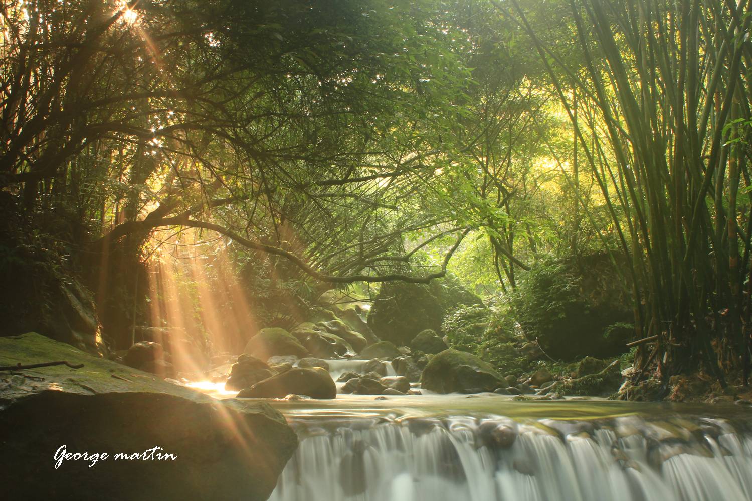 http://i.dcview.tw/gallery/201208/29972eb2884141b53a79db924c1cccd4.jpg