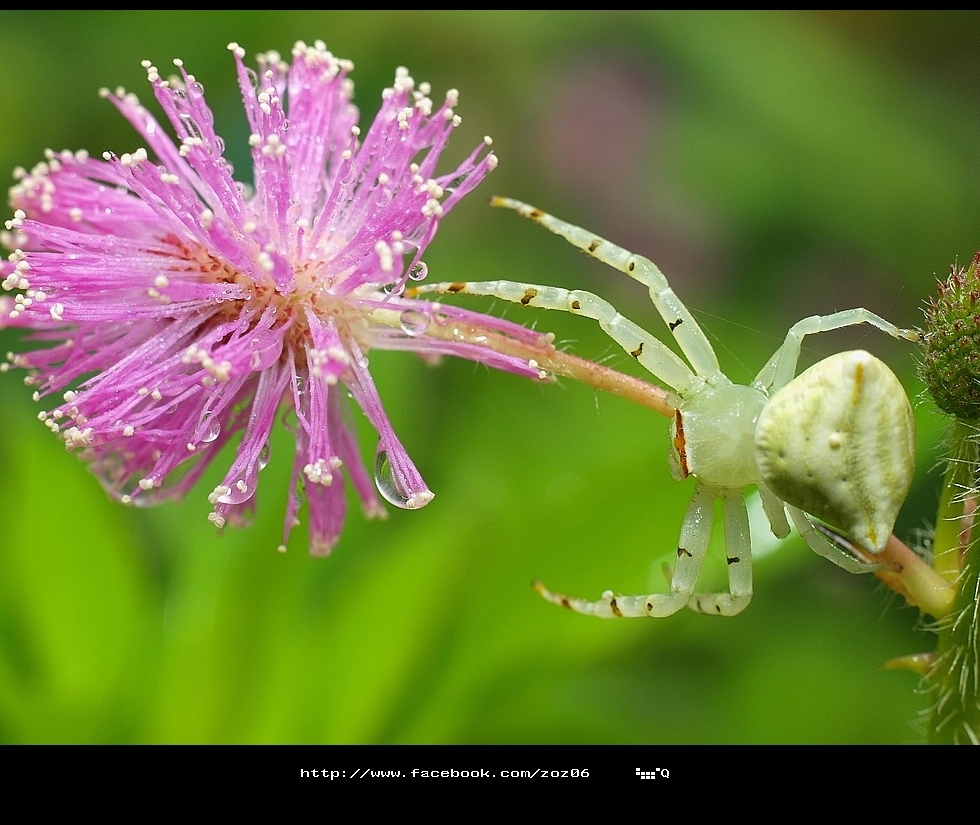 http://i.dcview.tw/gallery/201208/3accba33690b021edd8a19a451b897bc.jpg