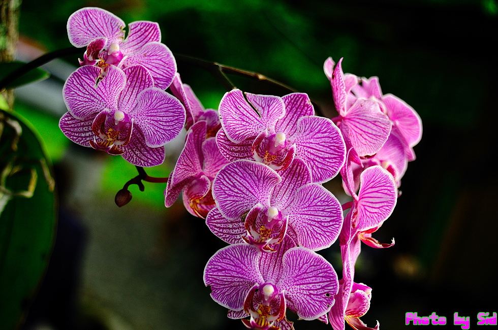 http://i.dcview.tw/gallery/201208/3bf561a75bc9e71b02f6f931d80adac8.jpg