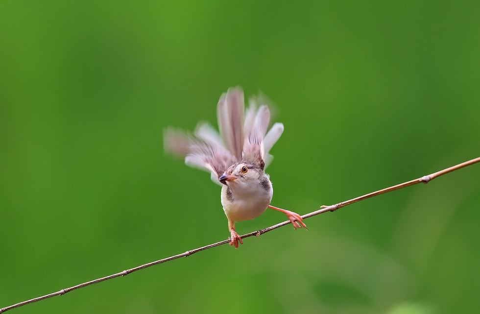 http://i.dcview.tw/gallery/201208/3d1b873024092ee63fc9e121a914fd69.jpg