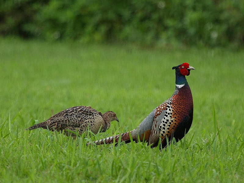 http://i.dcview.tw/gallery/201208/3f2f73e1b615c41b6426bfeba127a77d.jpg
