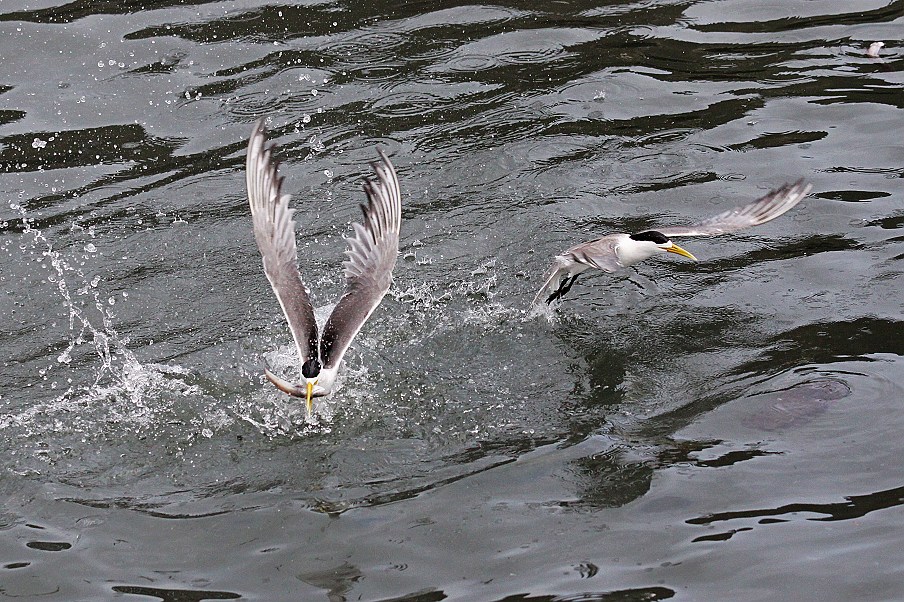 http://i.dcview.tw/gallery/201208/47d3a6274f1a1d189d28cc5a7f1ad71f.jpg
