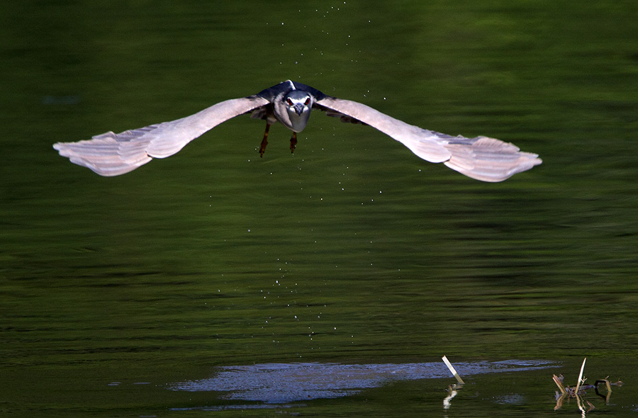 http://i.dcview.tw/gallery/201208/5056b3a6c9d42cac847caa01e0bd6ae8.jpg