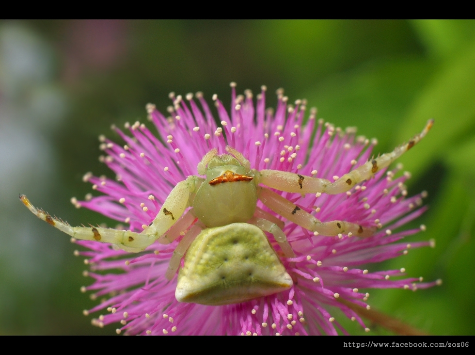 http://i.dcview.tw/gallery/201208/50608f2af9f452b3c20ae174d3d7b474.jpg