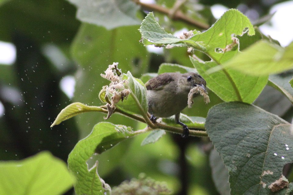 http://i.dcview.tw/gallery/201208/530b1799e90cdcffa410e0a39bee3828.jpg