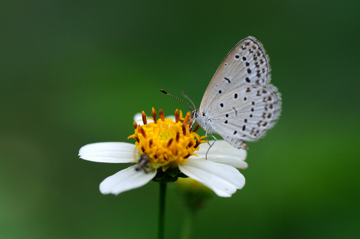 http://i.dcview.tw/gallery/201208/5e57d818f7bead780d0d4679ff1a5ef1.jpg