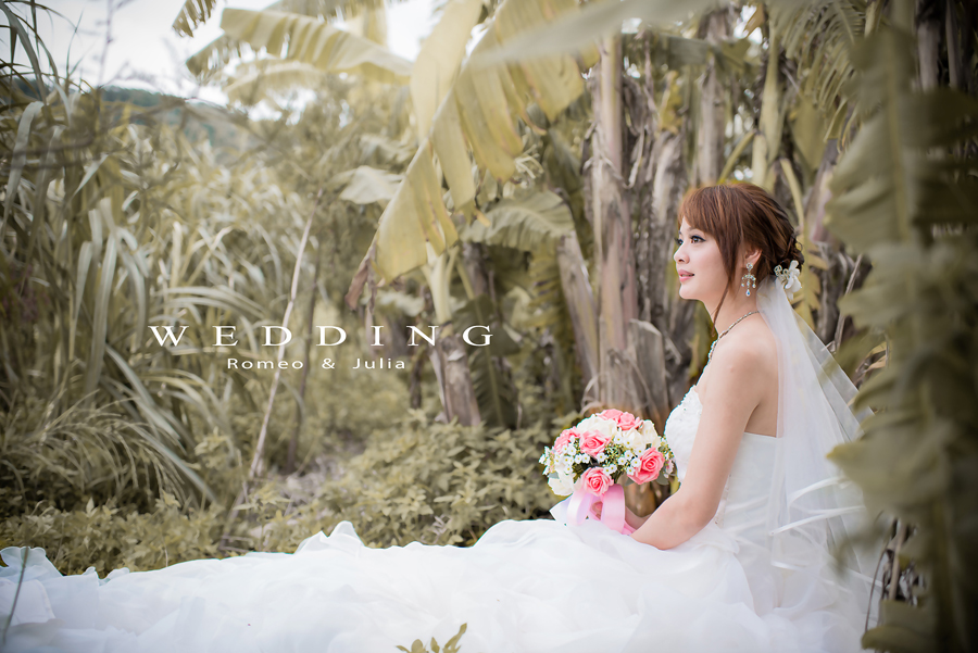 http://i.dcview.tw/gallery/201208/69f83f907476d585de4243f6c4a83cb4.jpg