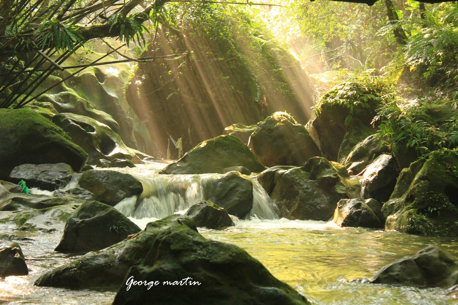 http://i.dcview.tw/gallery/201208/6a31fcb6c1f12b3e39d461fb1ef82c42.jpg