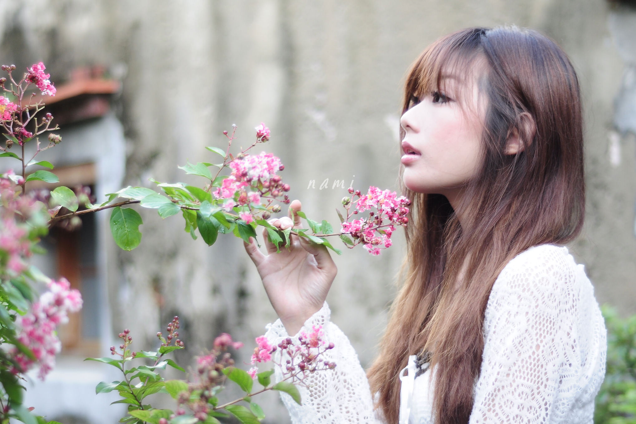 http://i.dcview.tw/gallery/201208/7742ffc6190b133bc0de0479bff1a008.jpg