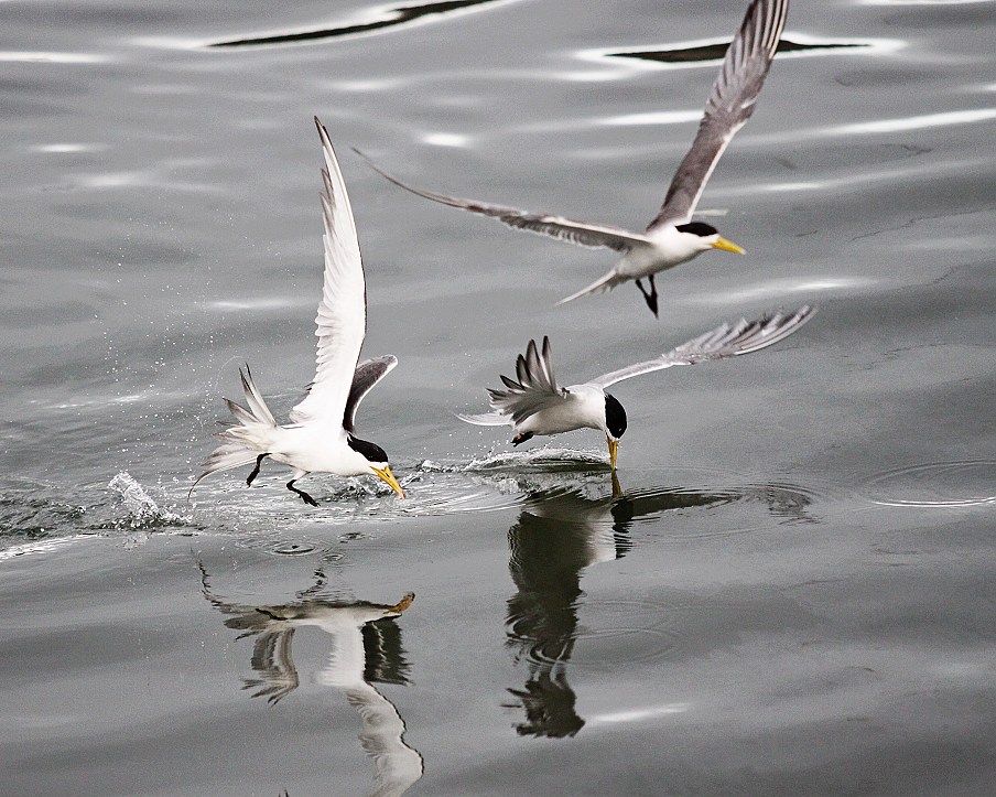 http://i.dcview.tw/gallery/201208/7b3c7660646ab4e7f19d690c9d1bd6f0.jpg