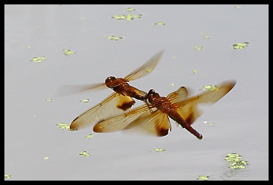 http://i.dcview.tw/gallery/201208/8c489d5589062af5e02a7387d19bd32c.jpg