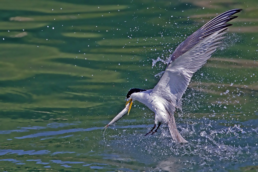 http://i.dcview.tw/gallery/201208/8c59b9e9985e2b8c015b35a1a139d19a.jpg