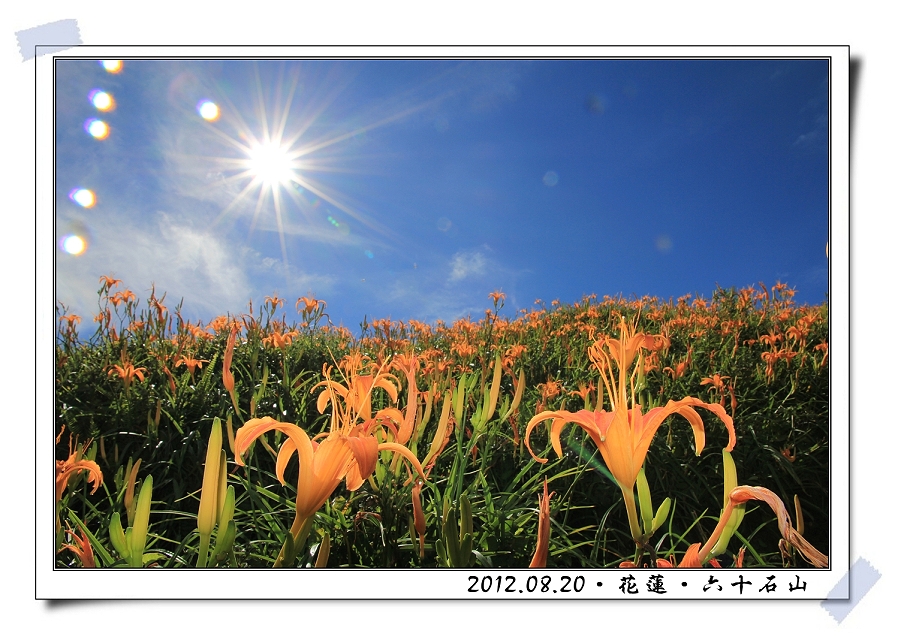 http://i.dcview.tw/gallery/201208/9b791cce8ff8f1012ece7741a710c707.jpg