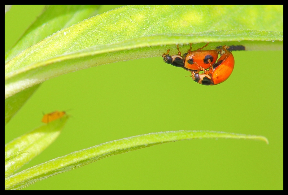 http://i.dcview.tw/gallery/201208/9d79fa16e3d58486288eda711ec549eb.jpg