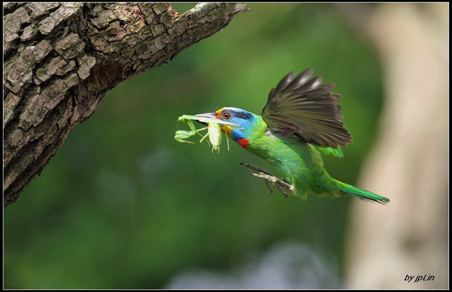 http://i.dcview.tw/gallery/201208/a001074d06fe7af733921a87fabf6e24.jpg