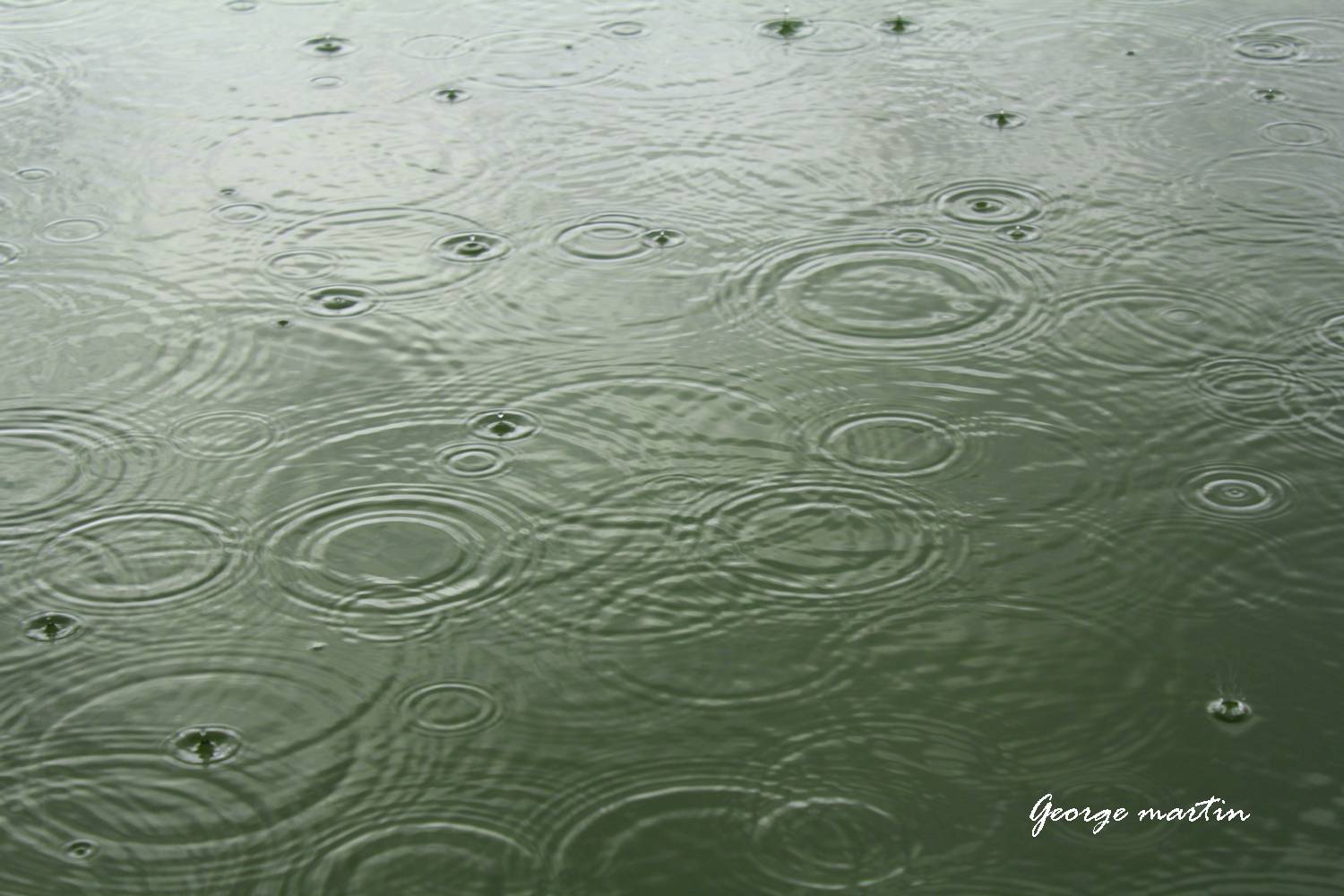 http://i.dcview.tw/gallery/201208/b452b94ed3472a26f13ed107ac55fbf6.jpg