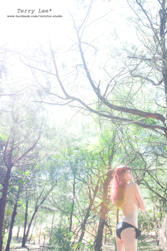 http://i.dcview.tw/gallery/201208/b6babda73e56c69929f6c26c7b3163f3.jpg