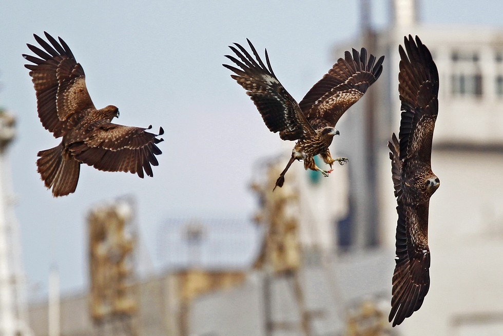 http://i.dcview.tw/gallery/201208/c433bdb4b04c5ec3ed8434b53118fac8.jpg