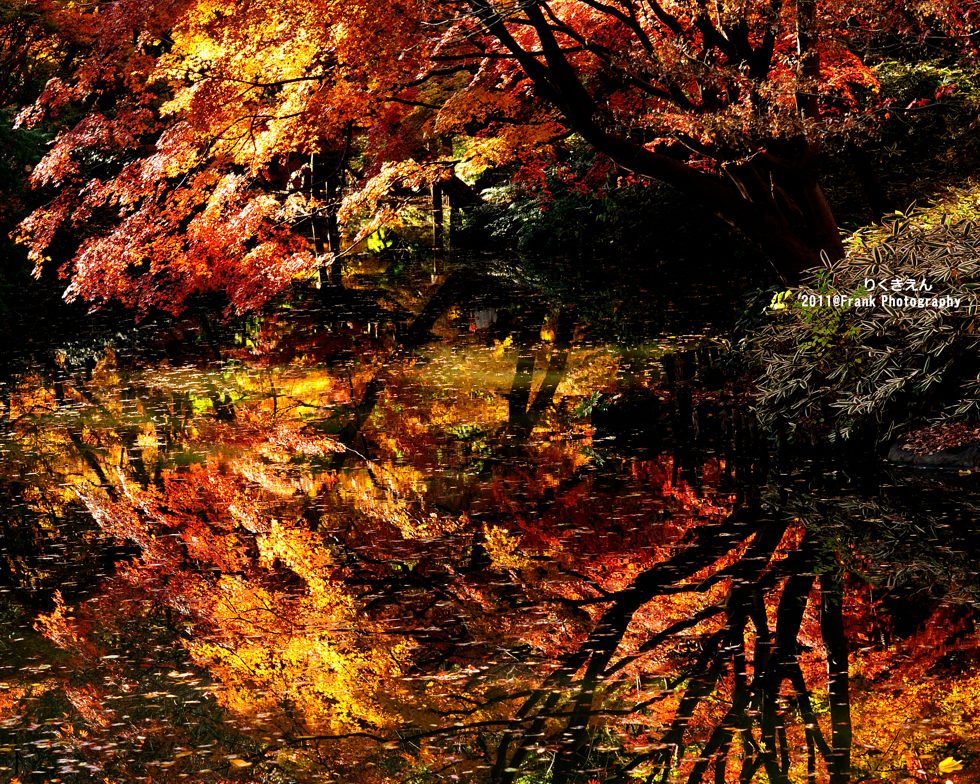 http://i.dcview.tw/gallery/201208/c4df86efaef31251f71a74ff4c2b794b.jpg