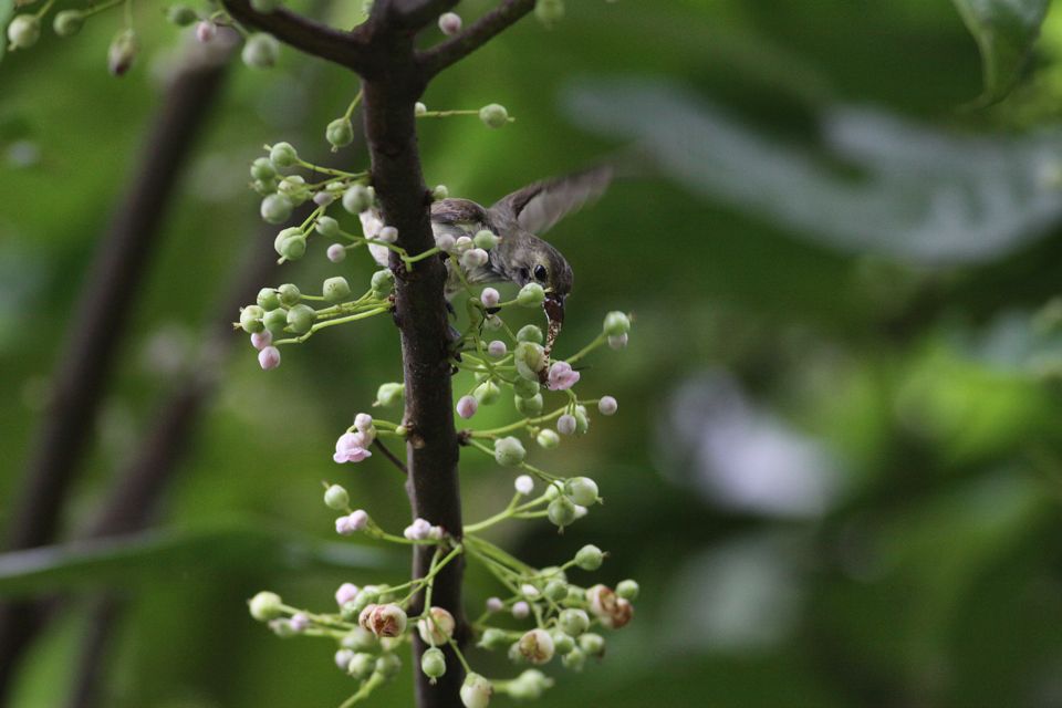 http://i.dcview.tw/gallery/201208/cdd47d26858d07140a4837b0bc3eab6a.jpg