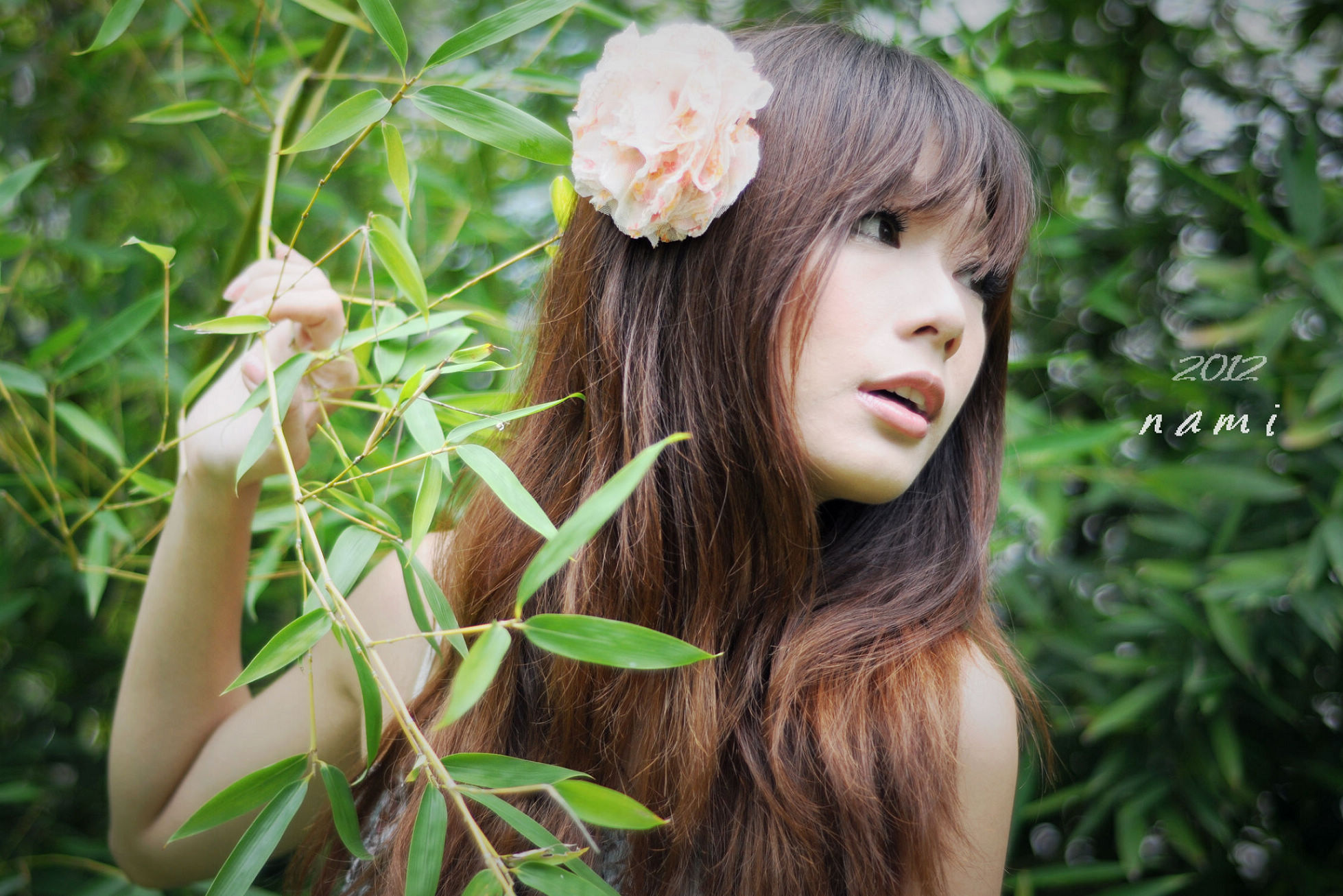 http://i.dcview.tw/gallery/201208/d40f1bbe03a8715691638841e8003e4c.jpg