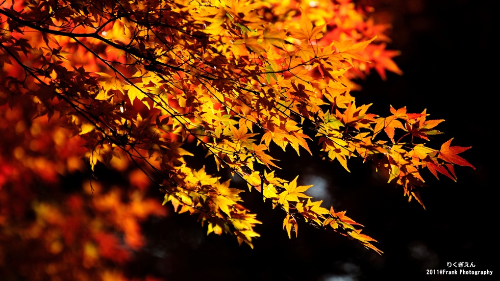 http://i.dcview.tw/gallery/201208/e9ff467e1e5228898cde912c2c319530.jpg