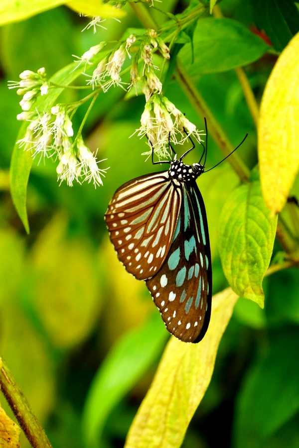 http://i.dcview.tw/gallery/201208/eafdb5830f431885457f22cc496fbc71.jpg