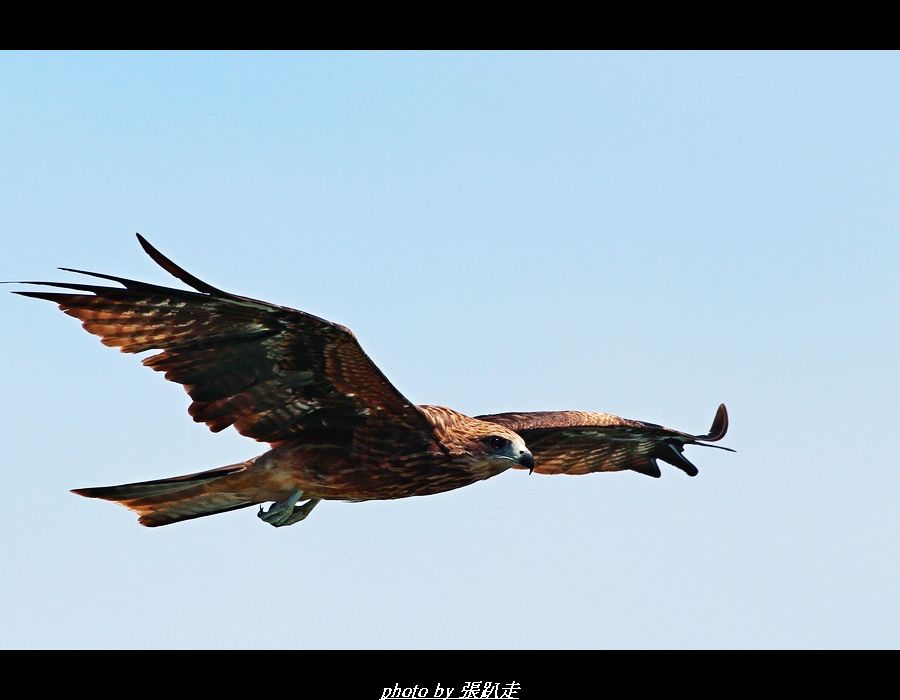 http://i.dcview.tw/gallery/201208/f2114083fa3c95d8a25122bb06f59dc7.jpg