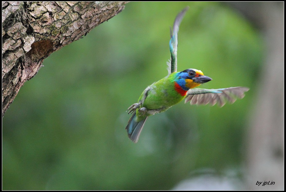 http://i.dcview.tw/gallery/201208/f6ade9c1f84cdb695b87c0e51e0fbbd9.jpg