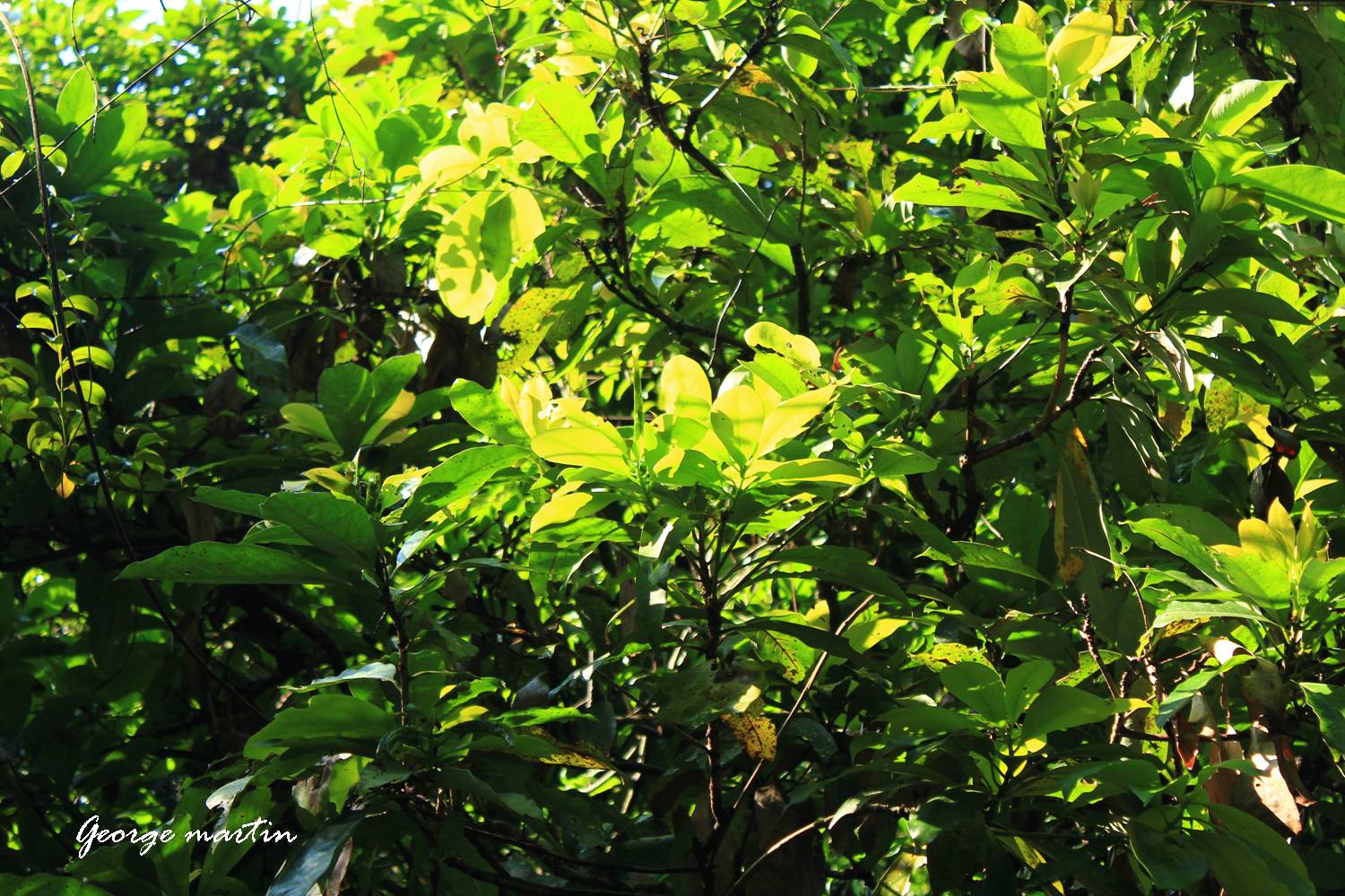 http://i.dcview.tw/gallery/201208/fcab65a59436d32bf07d3ffb006cbc81.jpg