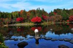秋~~東京昭和公園
