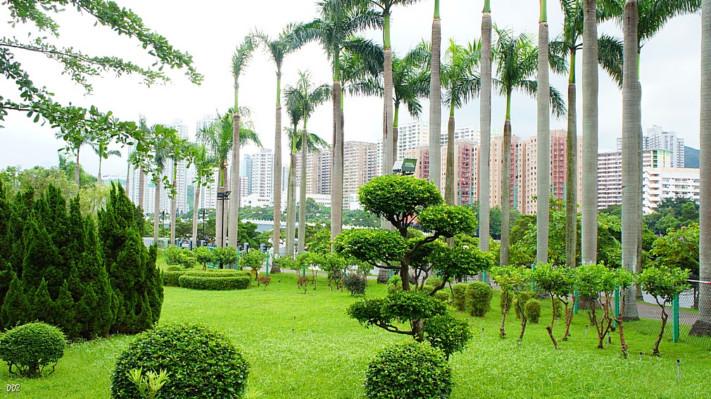 http://i.dcview.tw/gallery/201209/048729b46cd4ae6102e7b7b6870b6672.jpg